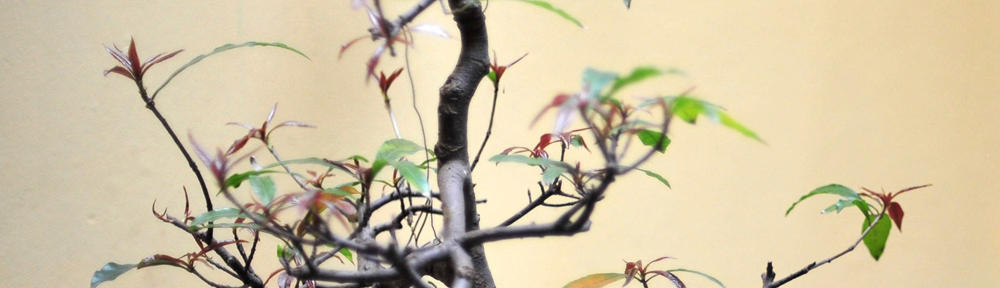 Archives diocésaines